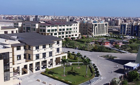 لينك جامعة  الدلتا